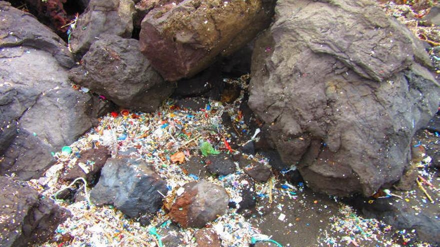 Residuos de plástico depositados en una playa.