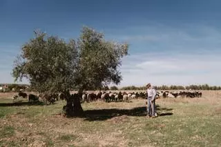 Julio de la Losa, el nómada que lleva trashumando por Madrid desde hace 30 años.