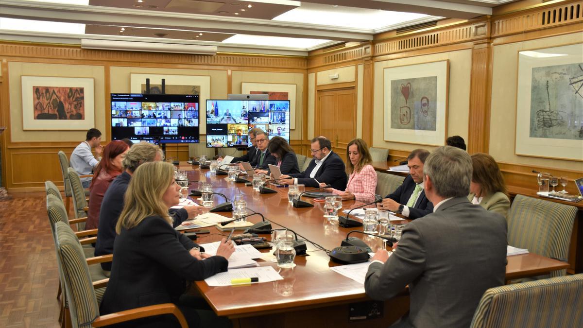 Imagen de la reunión del Consejo Interterritorial.
