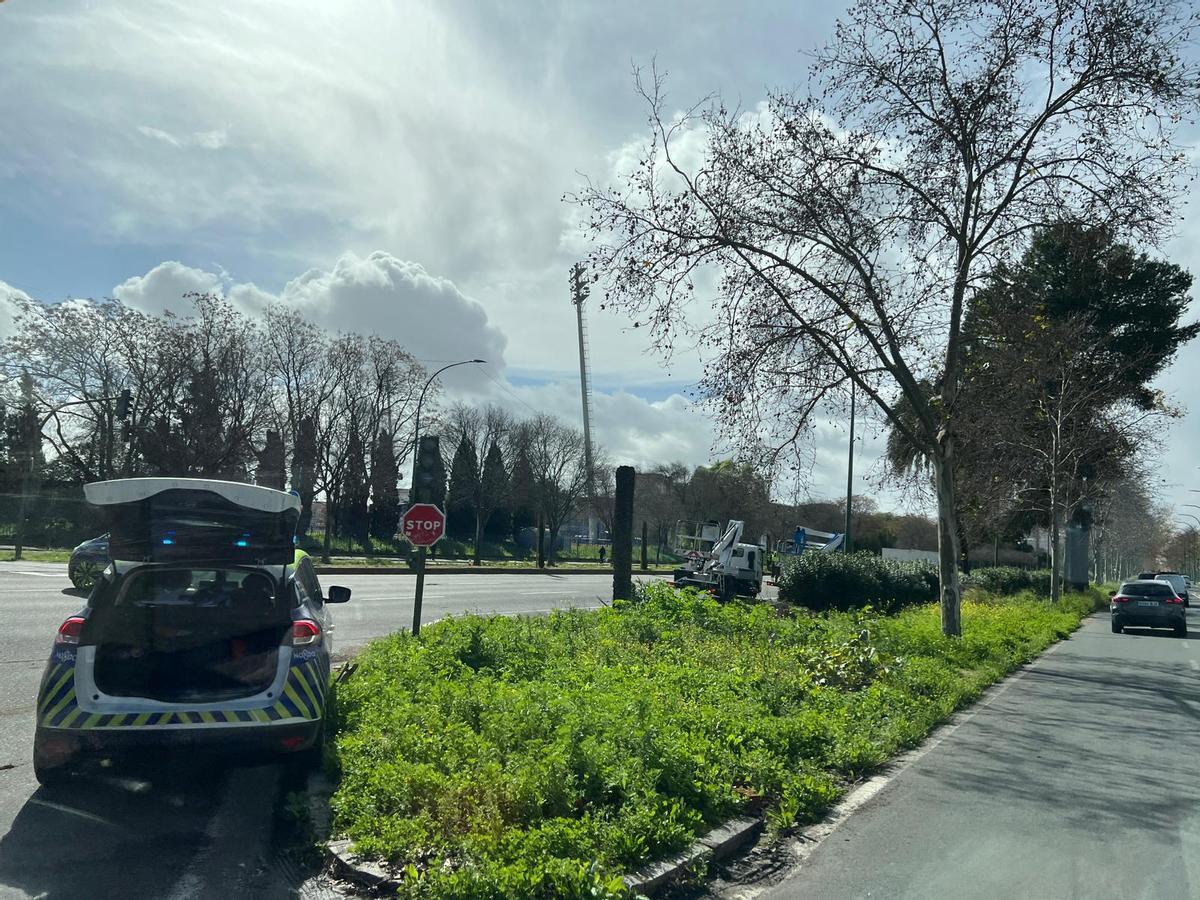 Imagen del coche y los restos de la palmera.