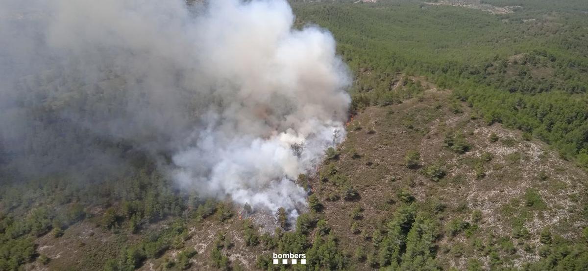 Incendis a Catalunya: foc forestal a Tivissa (Tarragona) en una zona de difícil accés