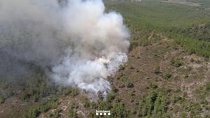 Incendis a Catalunya: foc forestal a Tivissa (Tarragona) en una zona de difícil accés