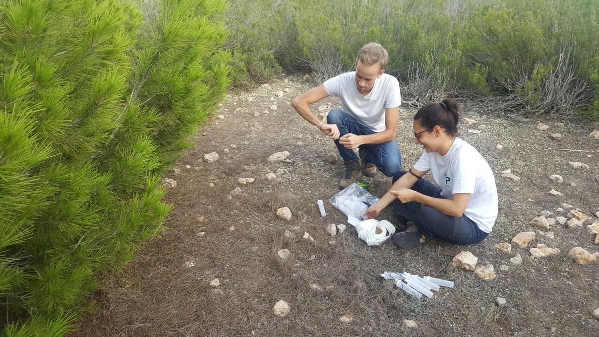 Dos de los científicos trabajan en Formentera la semana pasada.