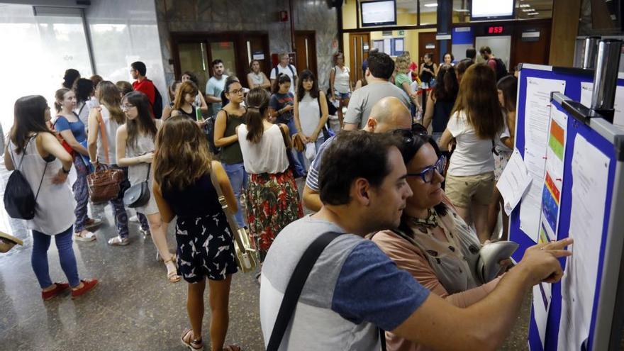 Estudiants consulten un panell informatiu a València.