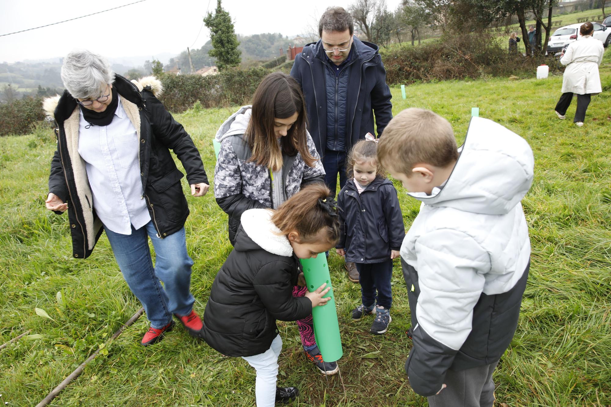 En imágenes: La alcaldesa de Gijón, en la plantación de árboles autóctonos en Somonte