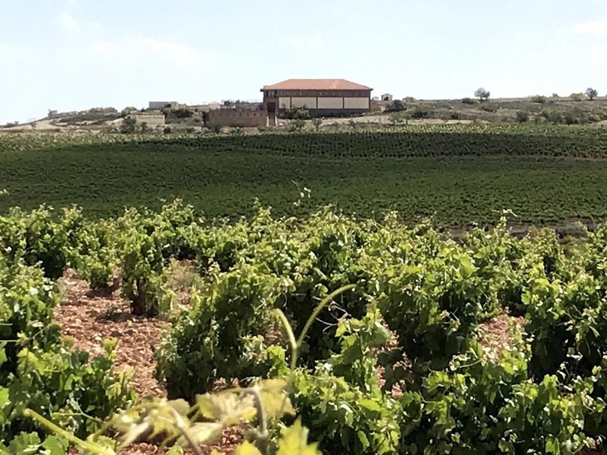 Los viñedos de Hacienda Molleda se encuentran en Tosos, a 700-750 m de altitud