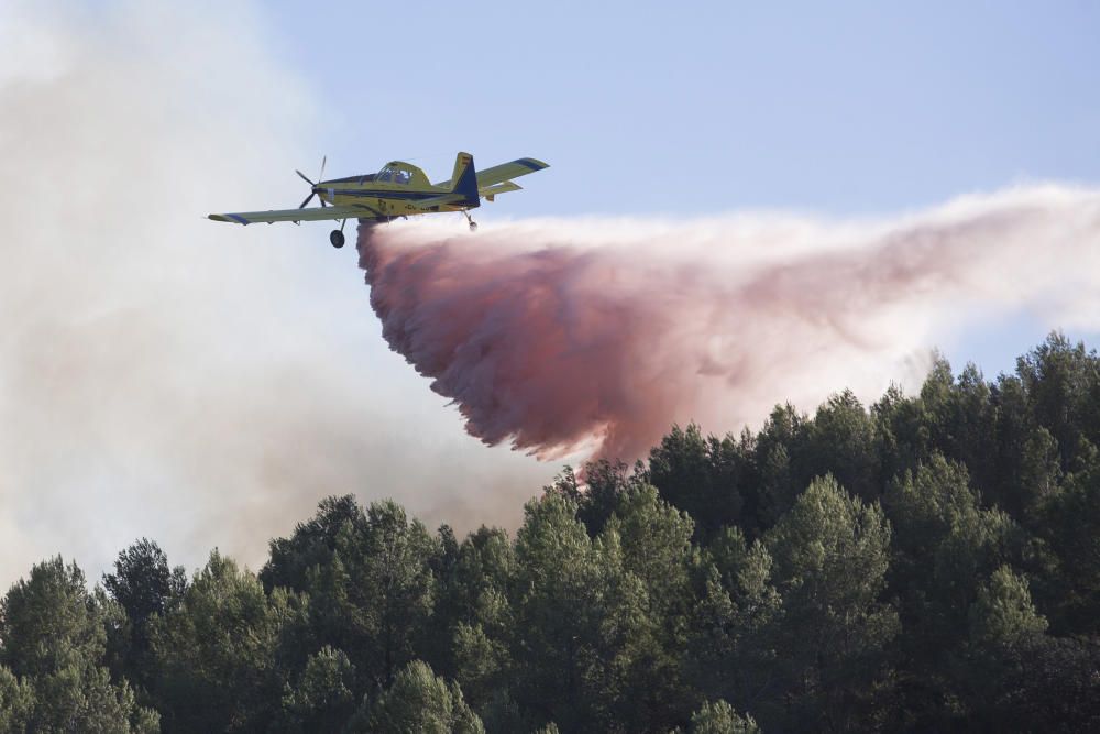 Incendio forestal en Cabanes