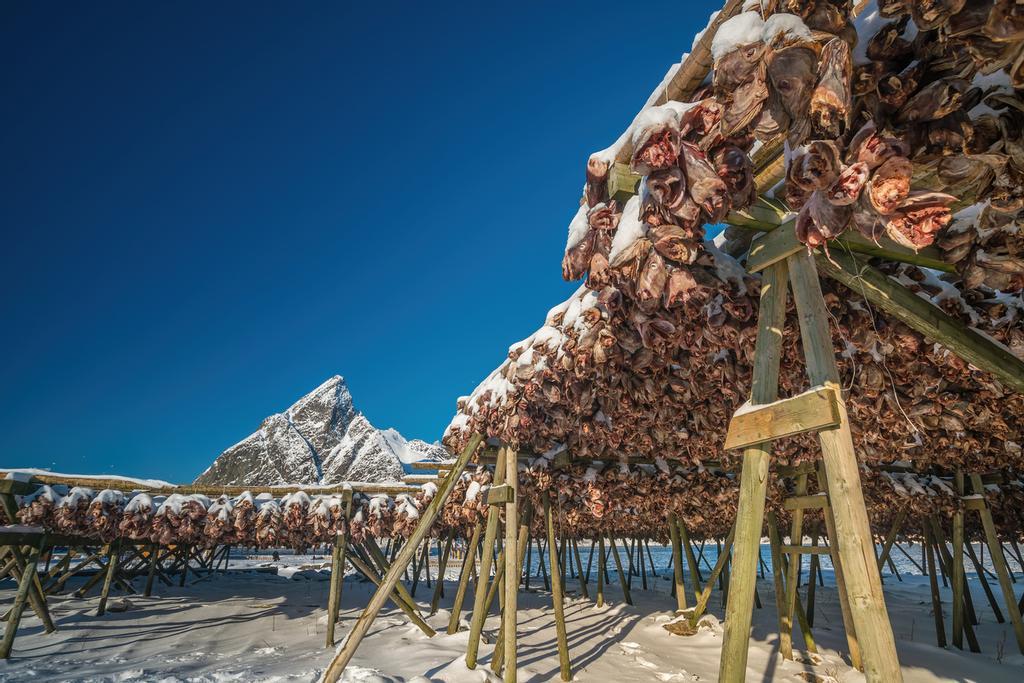 Secaderos de bacalao, en Reine.