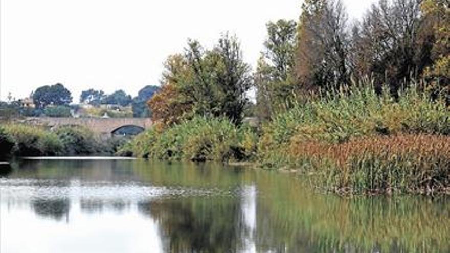 Almassora fomentará la educación medioambiental entre los escolares