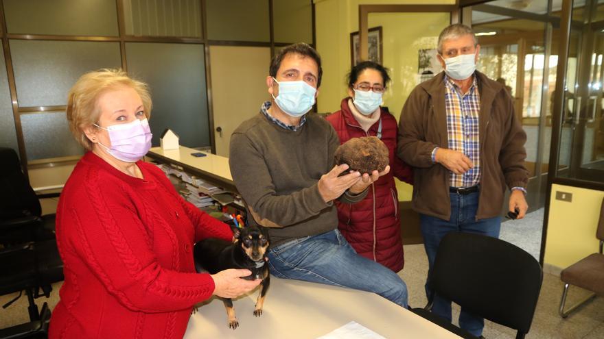 Encuentran en Benafigos la trufa más grande de España