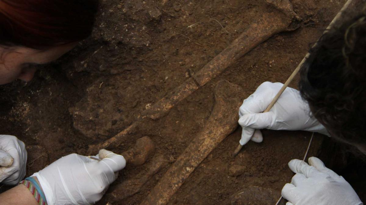 Mostra d'un individu del paleolític trobada a la cova Mollet III de Serinyà en el moment del seu descobriment.