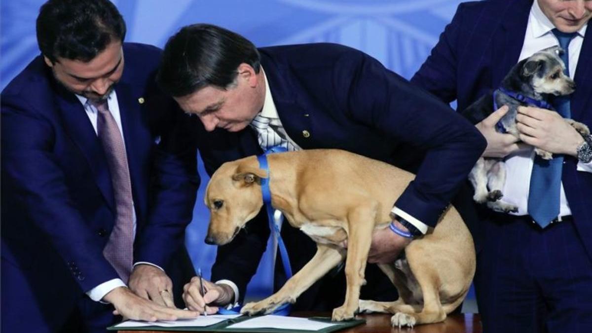 bolsonaro-brasil-perro