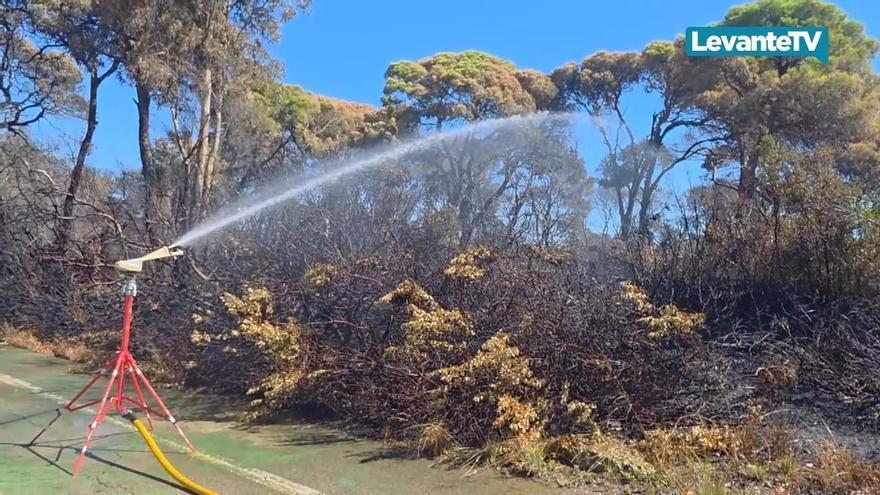 Tras el fuego, regresa la normalidad a El Saler