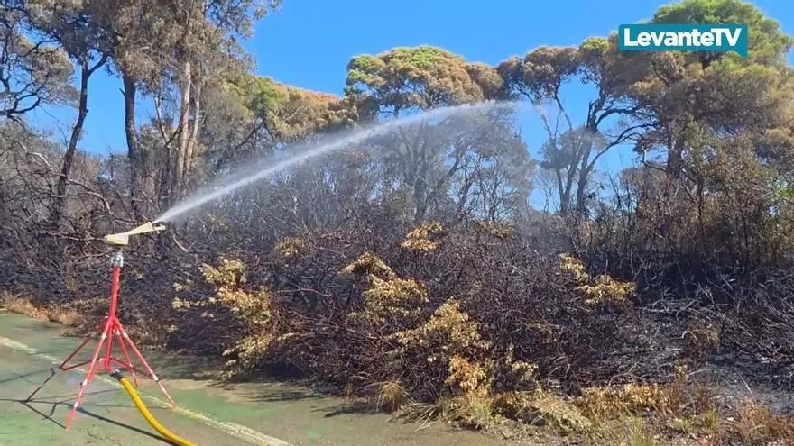 Tras el fuego, regresa la normalidad a El Saler