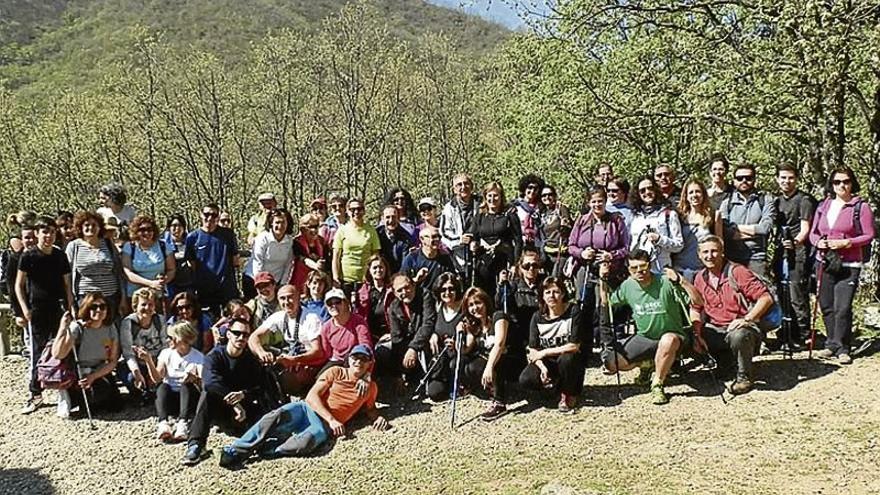 &#039;Caminar en Cáceres&#039; visita el Cerezo en Flor