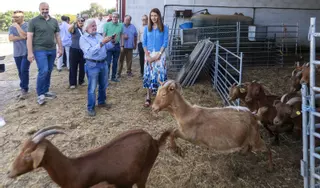 A Deputación e a Xunta cooperan para preservar razas autóctonas e en perigo