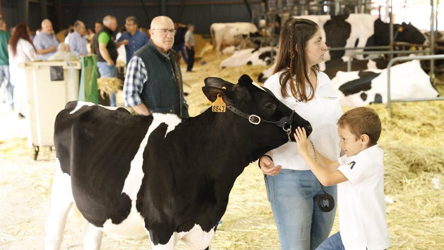 La Feria de San Antonio de Gijón termina con récord de visitantes: &quot;Ha sido un éxito&quot;