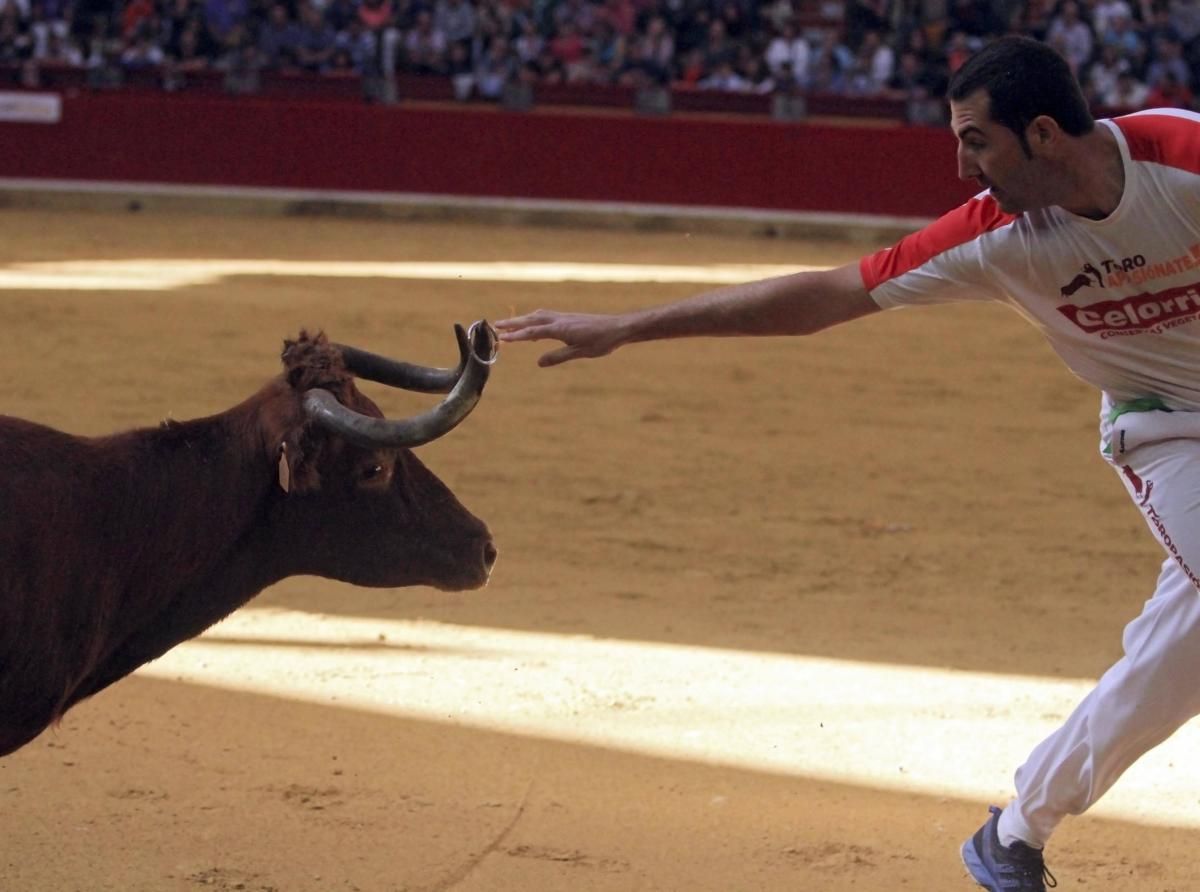 Los festejos taurinos