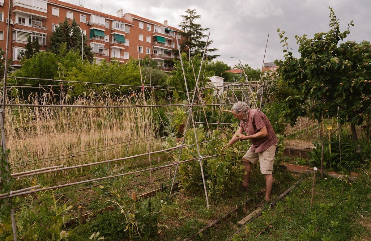 Eduardo Fisbein en el huerto impulsado por Naturbana en la zona de Hispanoamérica.