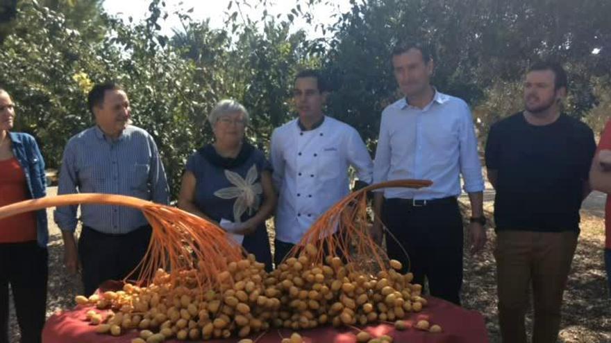 Mireia Mollà hace de palmerera en Elche para inaugurar la temporada de recogida de dátiles