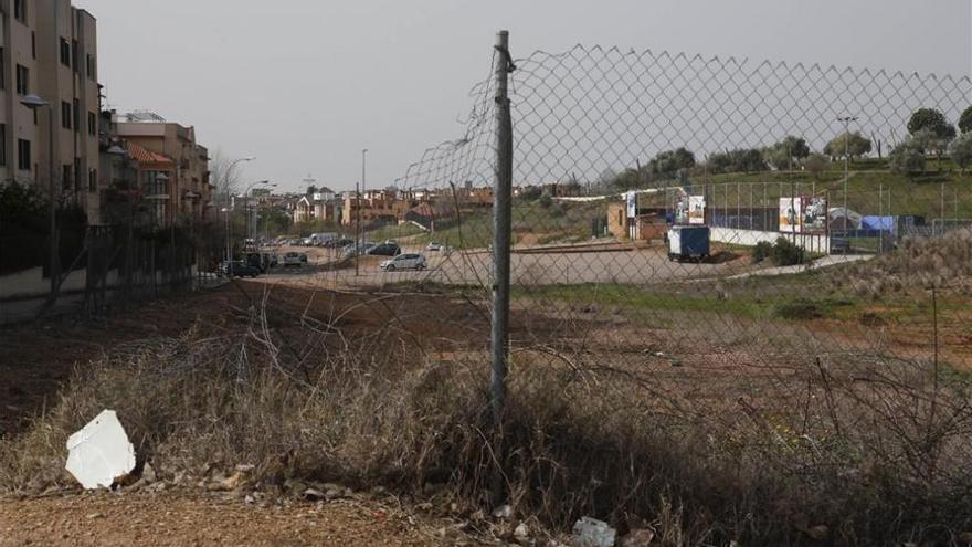 Fapac denuncia ante el Juzgado el presunto envenenamiento masivo de gatos en La Asomadilla