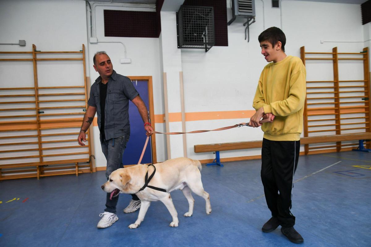 Terapia con perros en el colegio Virgen del Castillo de Zamora