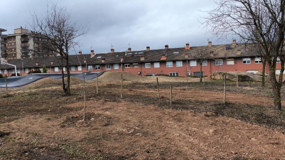 Nou arbrat en un parc de Solsona