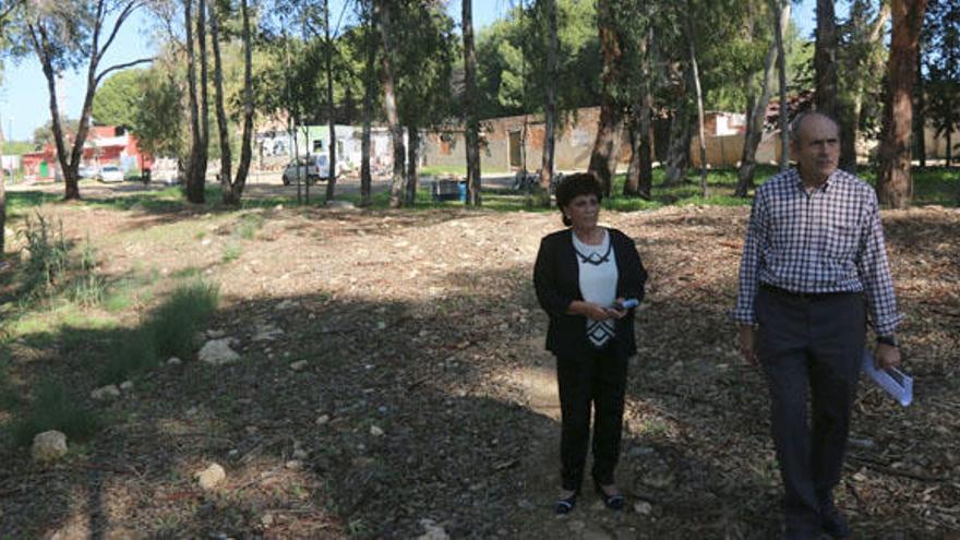 Los dirigentes vecinales, en el parque para el que piden un arreglo y detrás las casas construidas en plena Realenga de Maza.