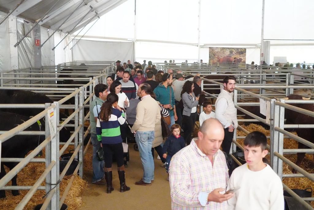 La Feria Agroganadera de Los Pedoches, en imágenes