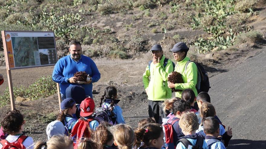 El Cabildo de Lanzarote adjudica Senderos Educativos por 227.344 euros para acercar el patrimonio a los escolares
