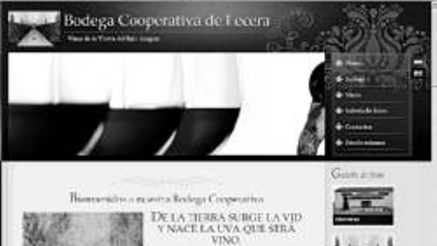 La cooperativa Virgen de la Rebollosa estrena web