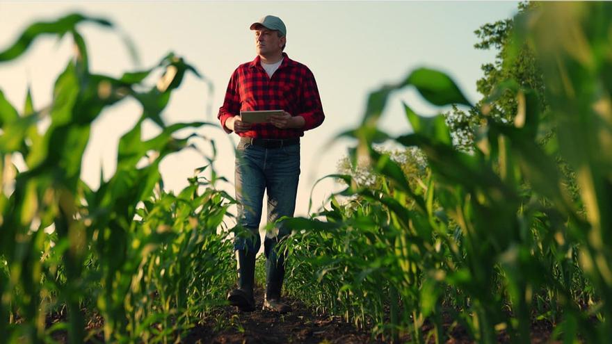 Banco Santander refuerza su papel como motor de transformación del sector agro español