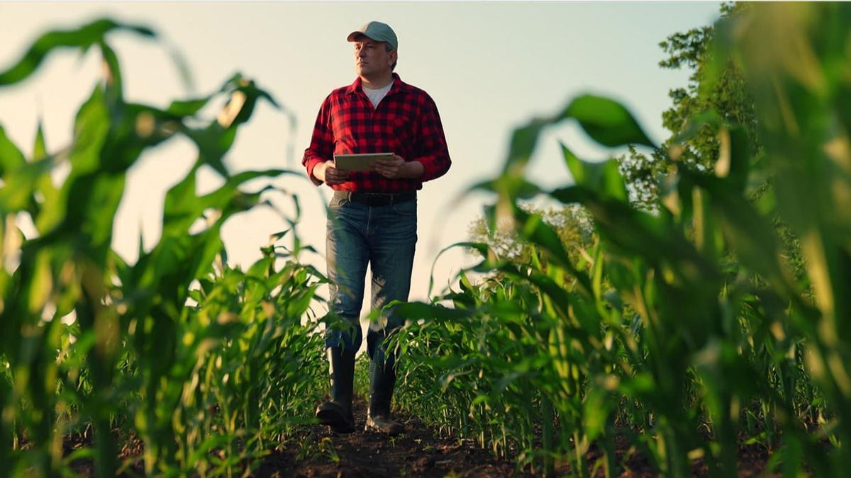 Banco Santander refuerza su papel como motor de transformación del sector agro español