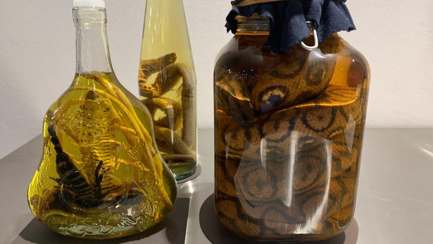 Ojos de oveja y vino de serpiente: el Museo de la Comida Repugnante llega a Berlín