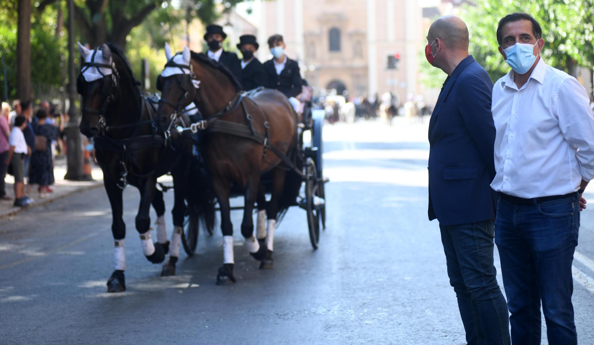 Paseo-desfile de carruajes y caballos en Murcia