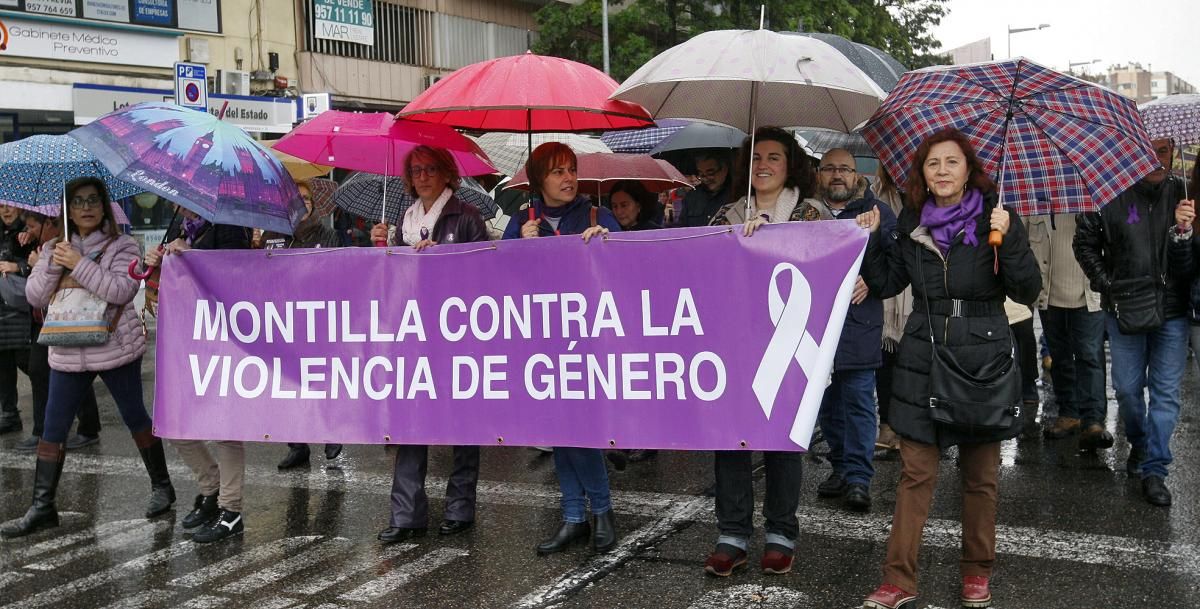 25N: Córdoba se manifiesta contra la violencia machista