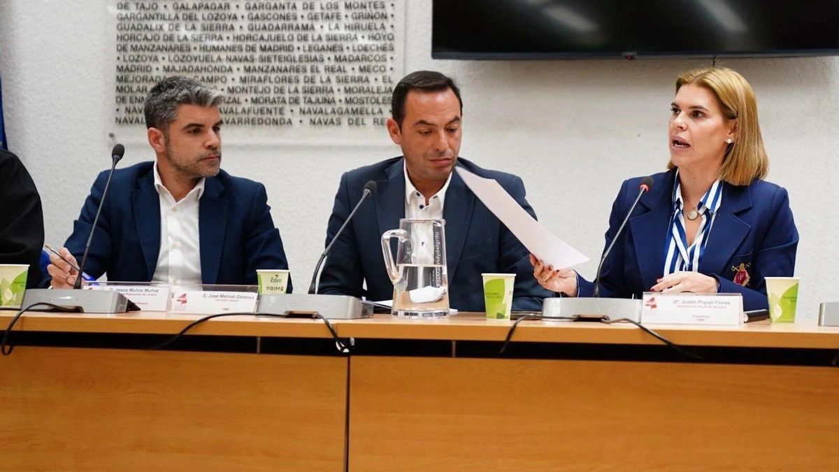 PP y PSOE extienden su choque en las instituciones a la Federación de Municipios de Madrid