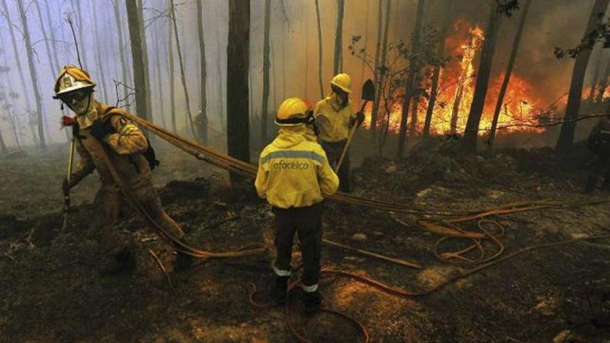 Los bomberos luchan contra las llamas en Quinta da Sobreira, en Viseu, en el centro de Portugal. / efe