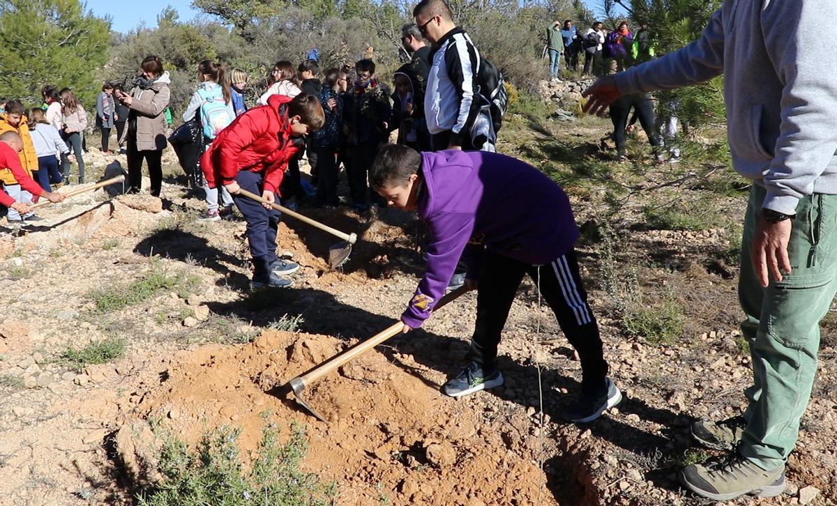 Escolares plantando árboles en el parque de Sant Vicent