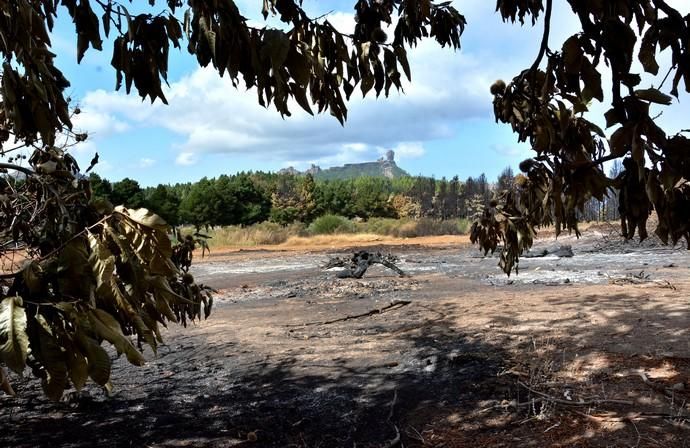 INCENDIO CUMBRE