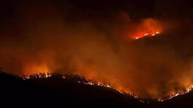 Imagen de archivo de un incendio forestal en Tui, cerca del Aloia. | J. LORES