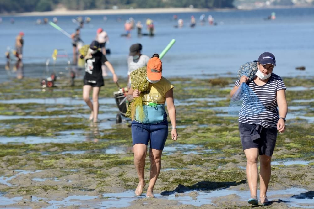 El marisqueo regresa a la ría de Pontevedra tras cuatro meses de parón