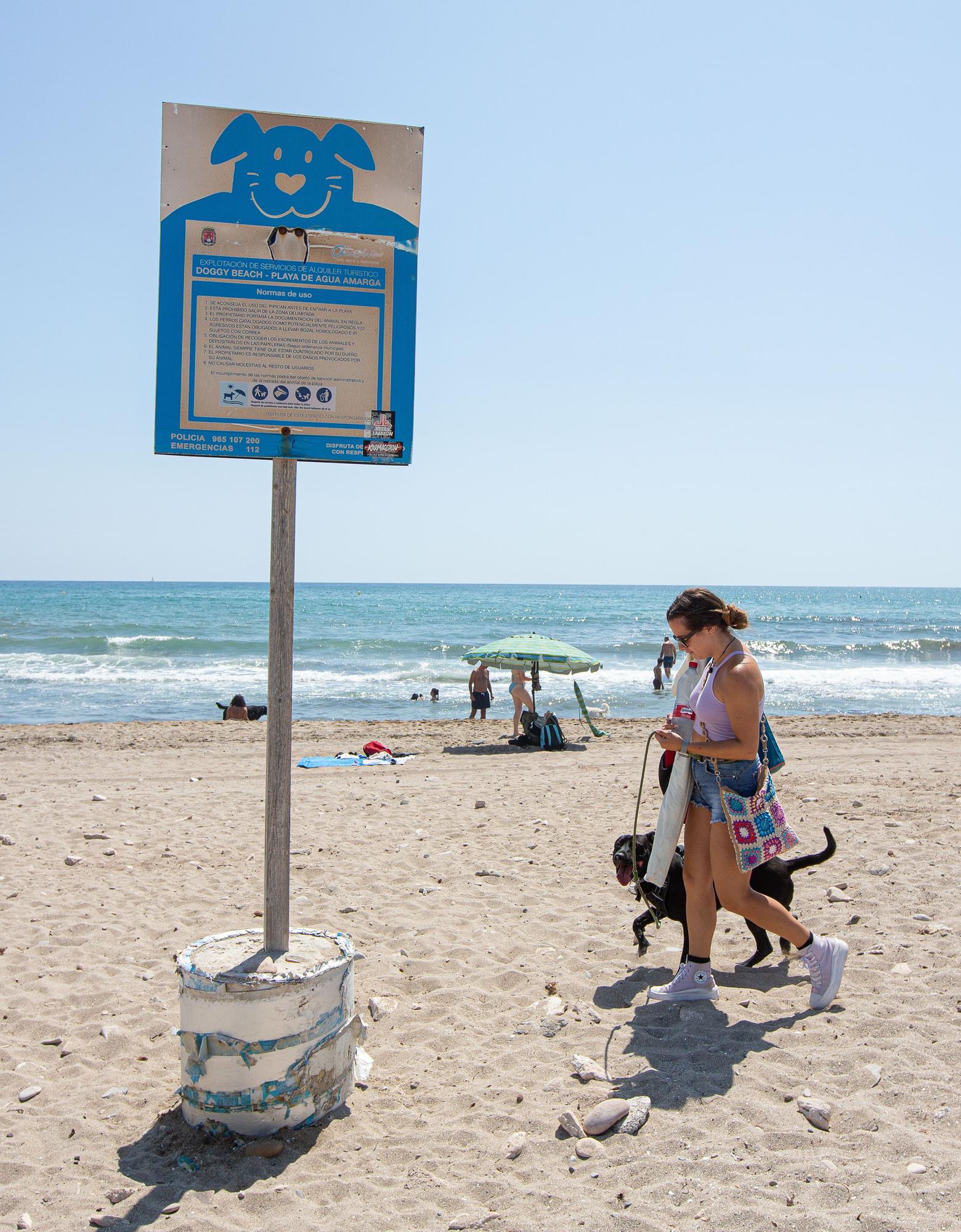 Aguamarga, una playa de perros