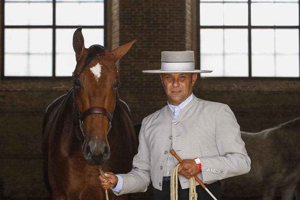 Cabalcor echa a andar con el concurso morfológico