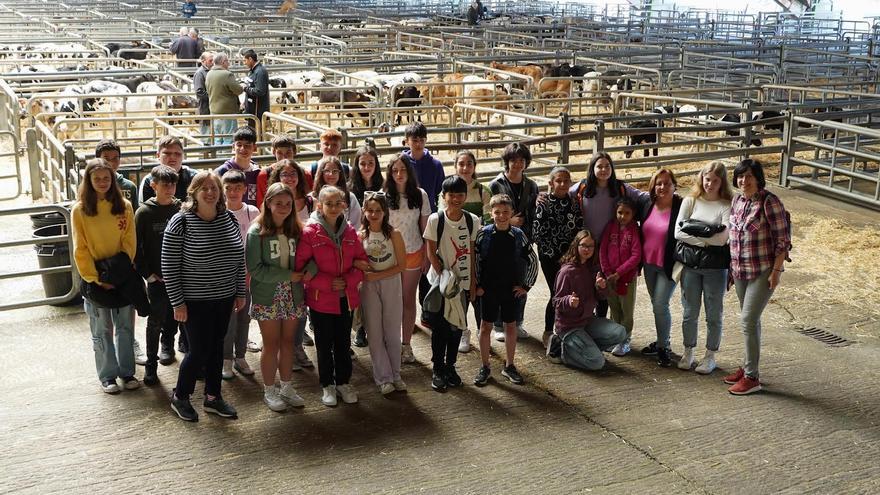 El Mercado de Ganado de la Pola crea escuela: visita de estudiantes de Secundaria para conocer su funcionamiento