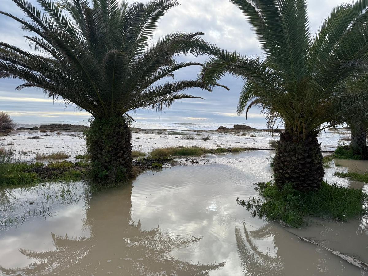 El temporal pone en jaque un camping de Sagunt