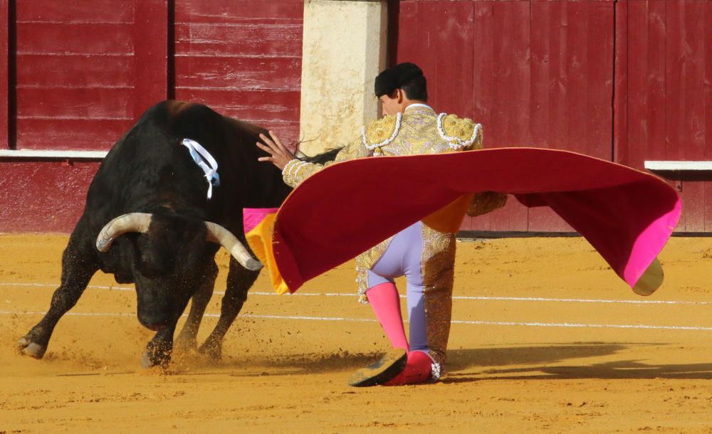 Saúl Jiménez Fortes se encierra con seis toros en la Feria Taurina