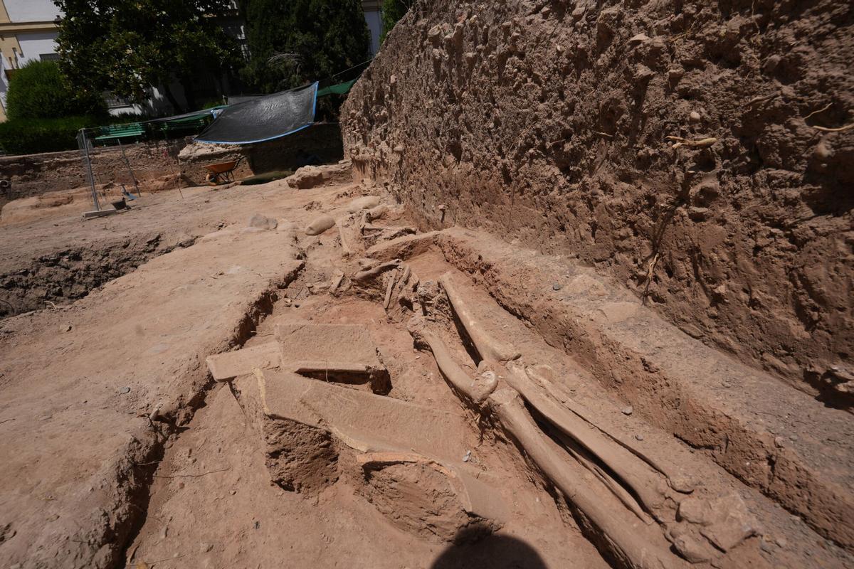 Córdoba. Excavaciones en la facultad de derecho