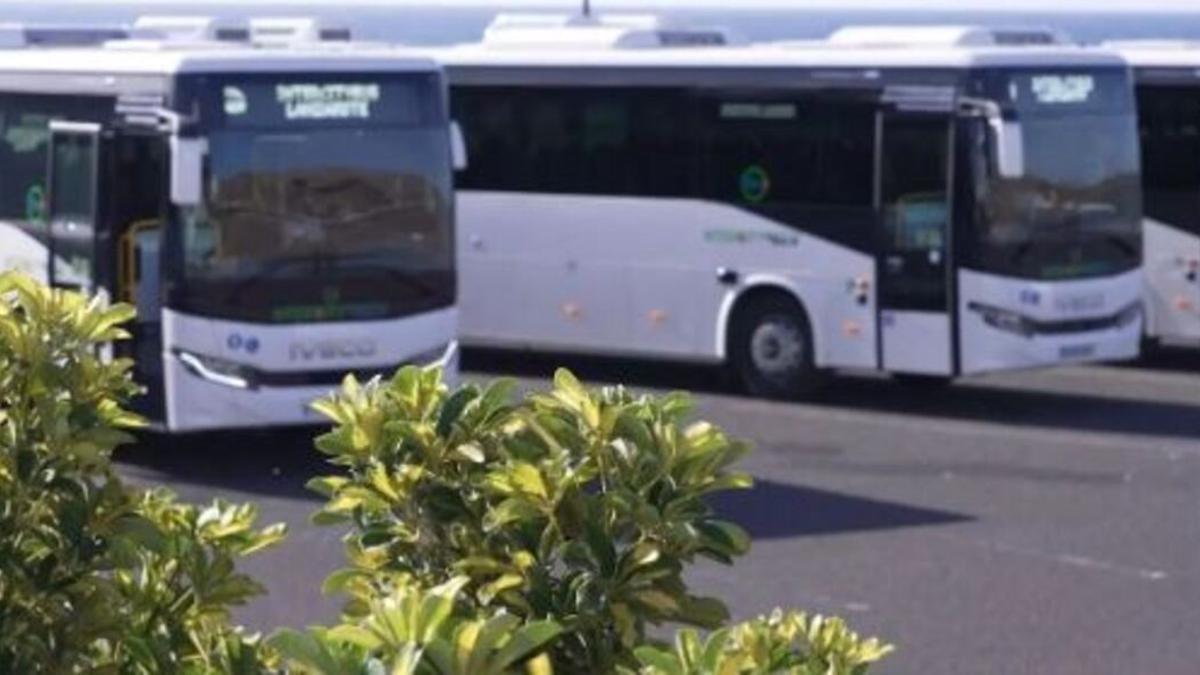 Los conductores alertan del «colapso» del transporte público en Lanzarote por el aumento de la demanda Los conductores alertan del «colapso» del transporte público en Lanzarote por el aumento de la demanda