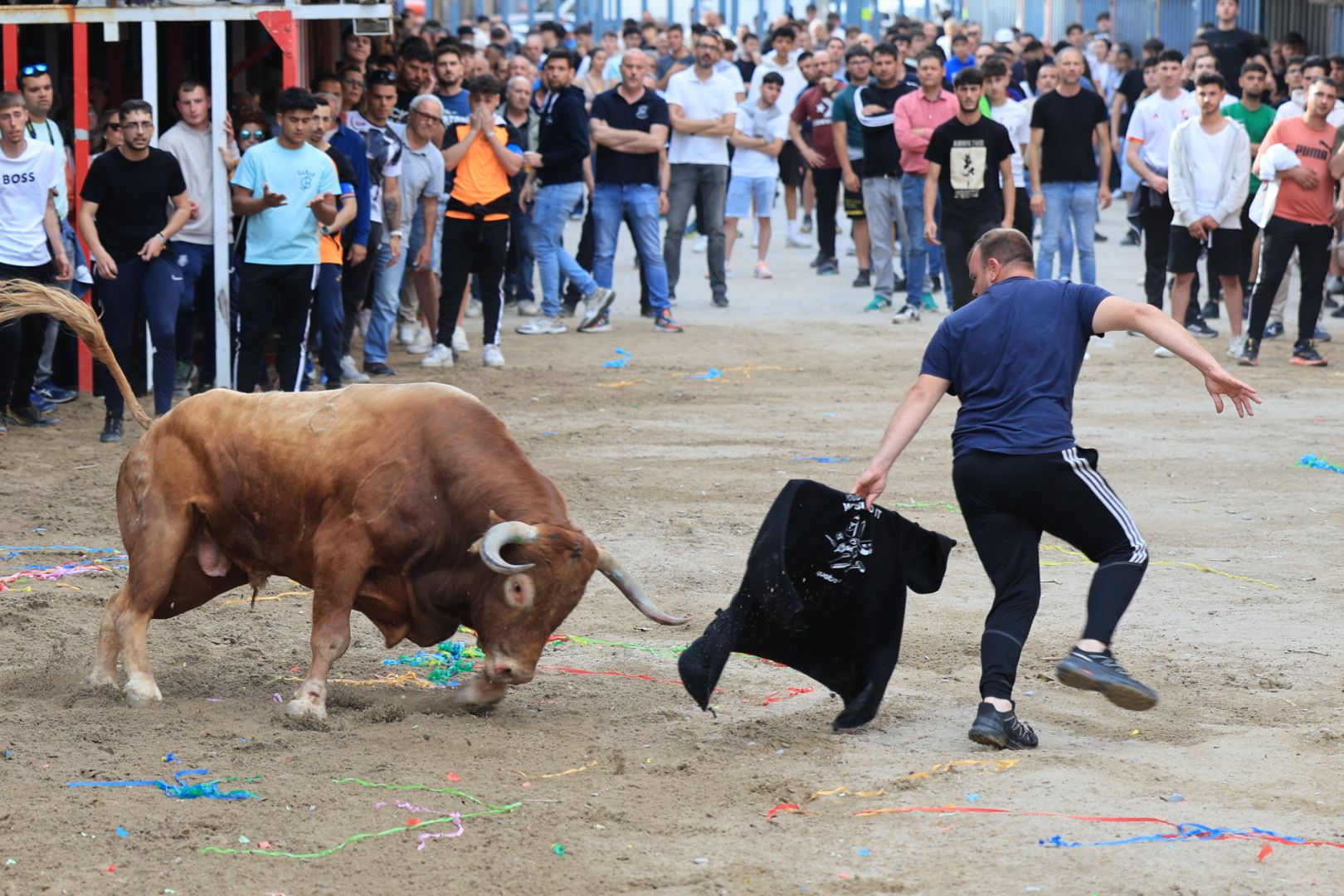 Fotos de la tarde taurina del jueves de las fiestas de Sant Pasqual en Vila-real